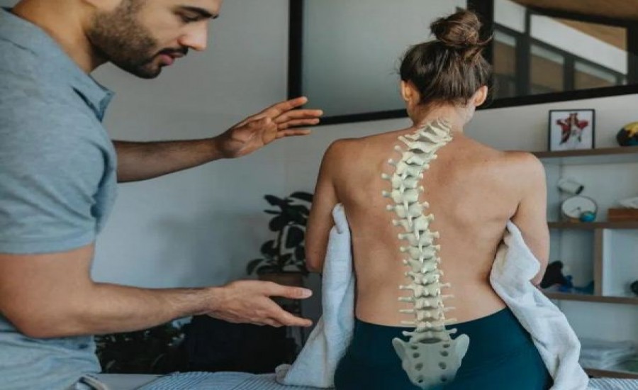 स्पाइनल कॉर्ड शरीर को बैलेंस रखता है