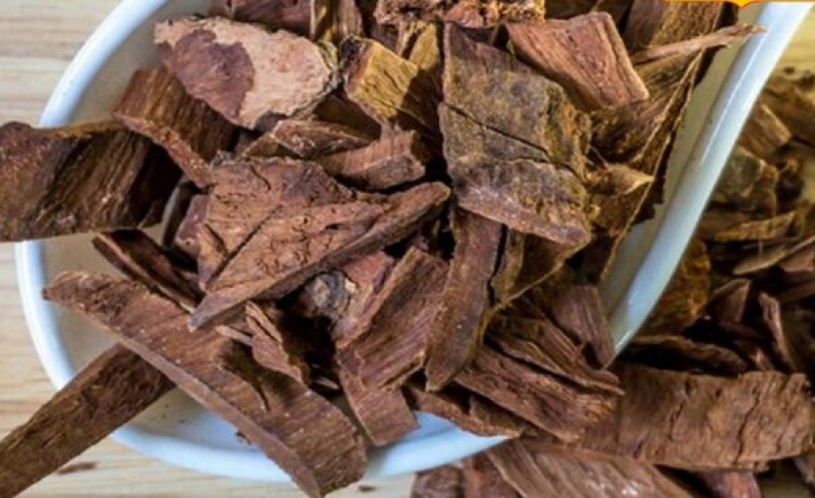 अर्जुन की छाल