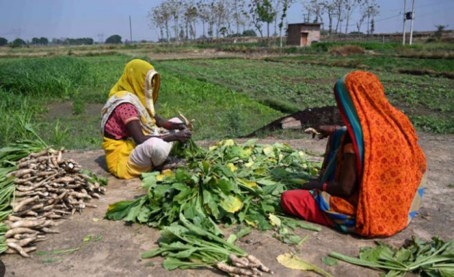 केंद्र सरकार अब न्यूनतम समर्थन मूल्य के स्थान पर किसानों कों करेगी घाटे की भरपाई